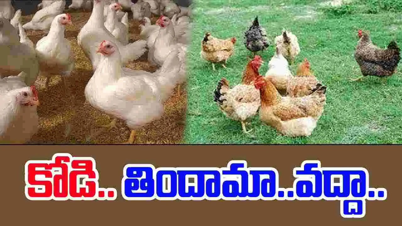 Chicken: కోడి.. తిందామా.. వద్దా..