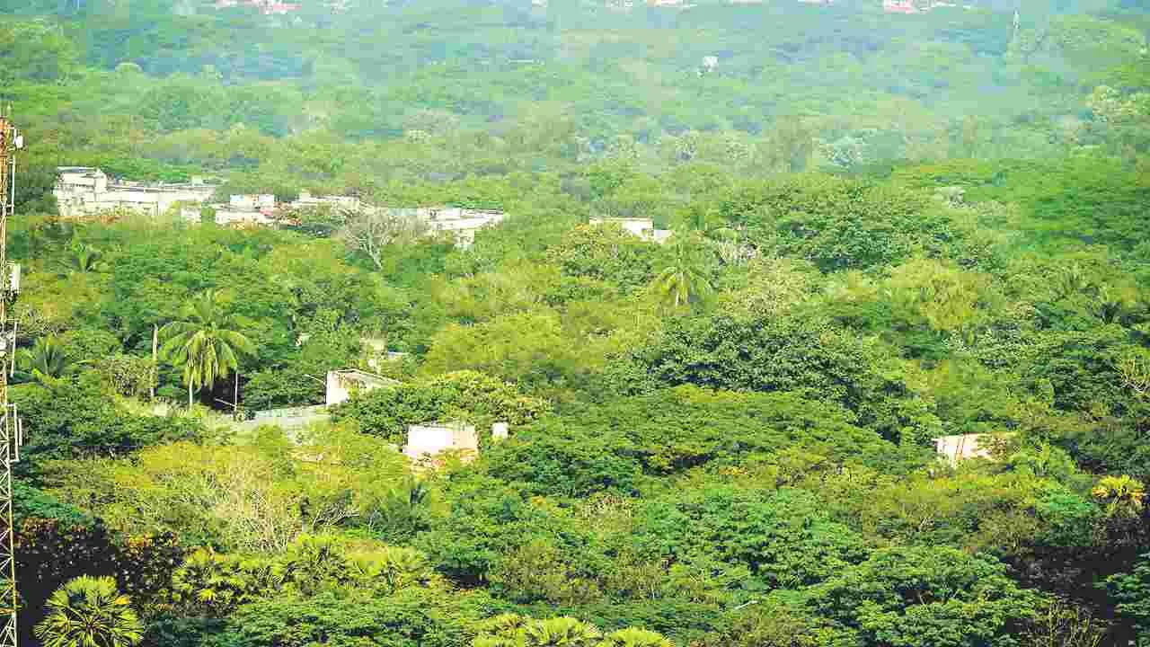 Steel Plant : దండకారణ్యం కాదు... ఉక్కు నగరం