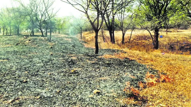 FIRE  : ఆరని చిచ్చు