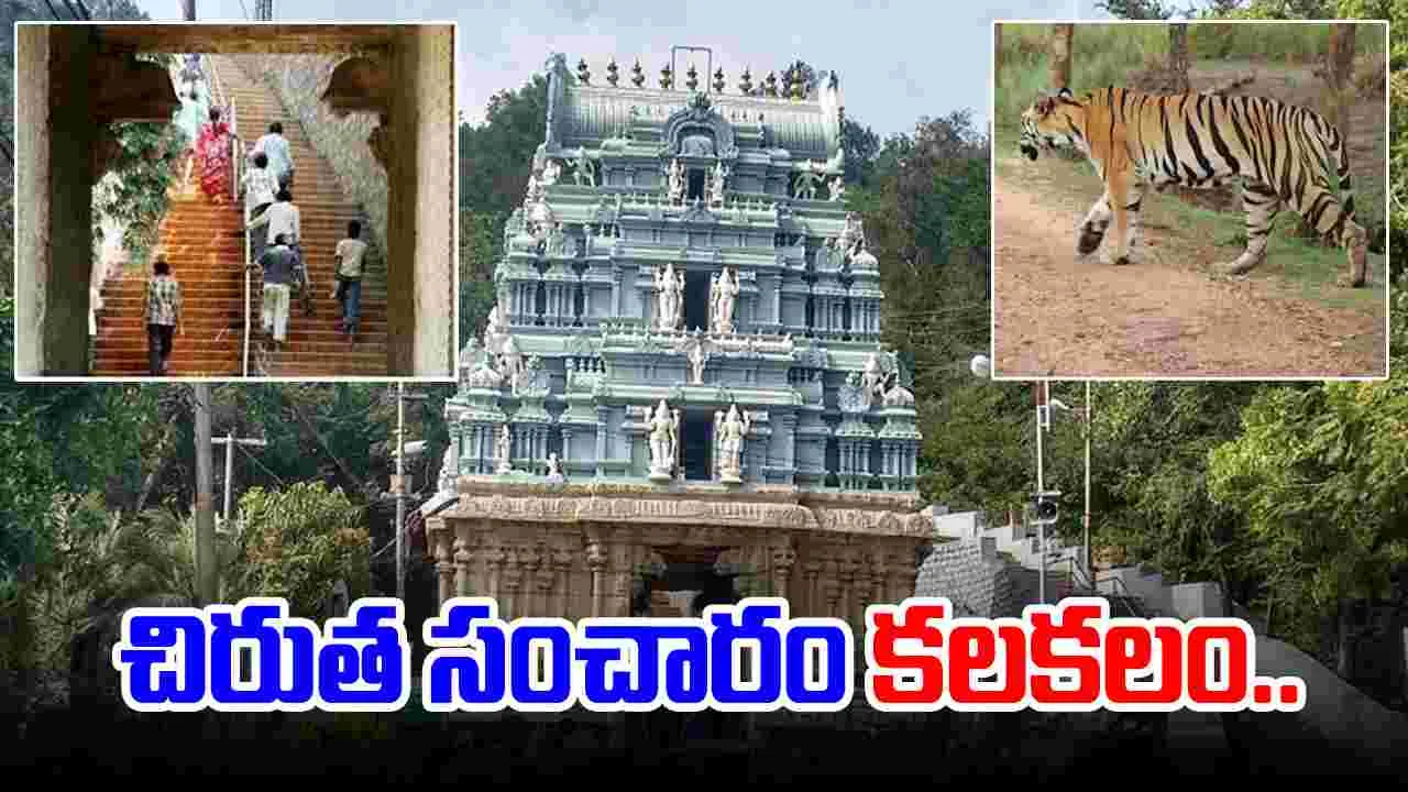 Tirumala: అలిపిరి కాలిబాట మార్గంలో చిరుత సంచారం..