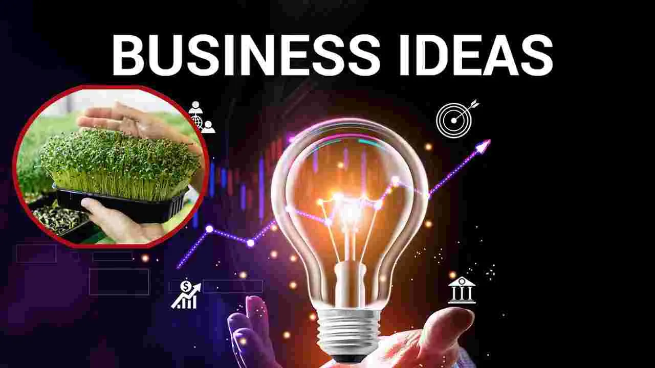 Business Idea : ఇండియాలో టాప్ స్మాల్ బిజినెస్ ఐడియా ఇదే..
