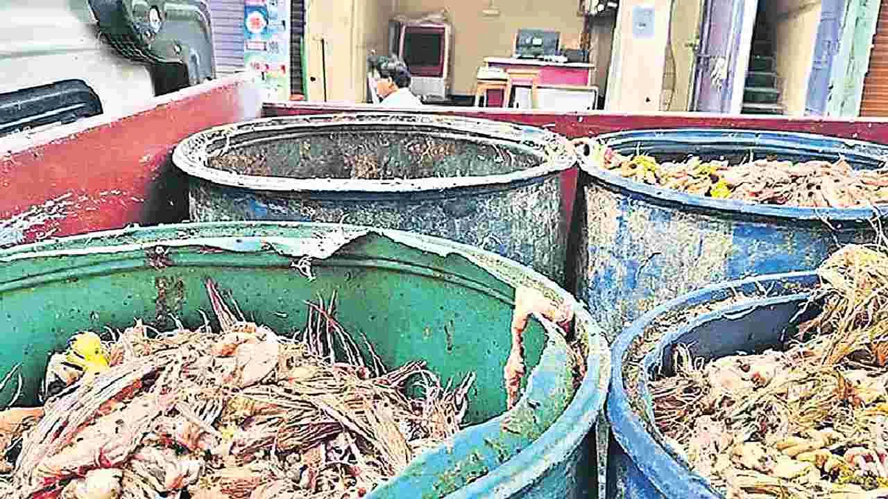 కోడి వ్యర్థాల సేకరణ టెండర్లలో గోల్మాల్