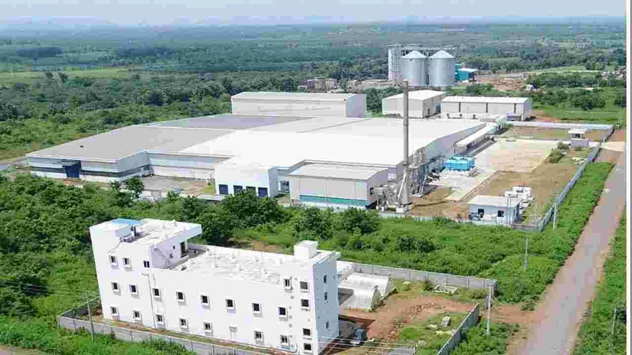 మామిడి రైతులకు మంచి రోజులు!
