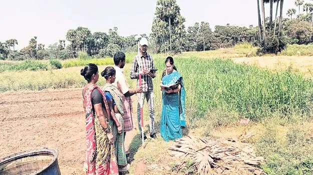 పక్కాగా భూముల రీసర్వే