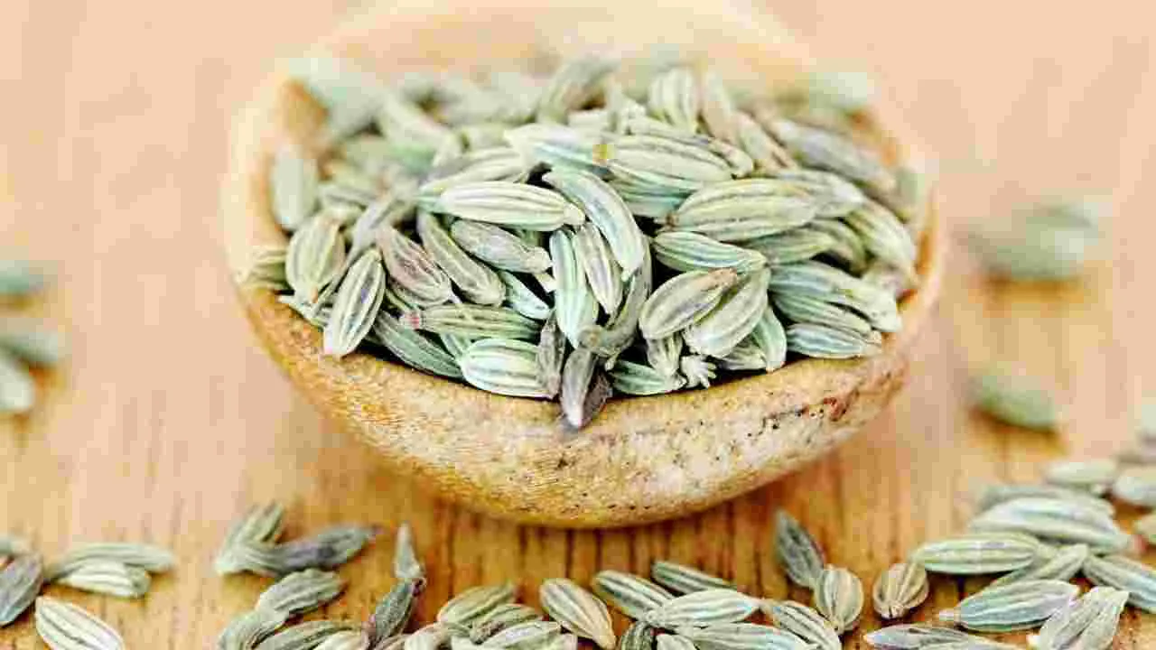 Fennel Seeds: రాత్రి భోజనం తర్వాత సోంపు తినడం మంచిదేనా.. ఇది తెలుసుకోండి..
