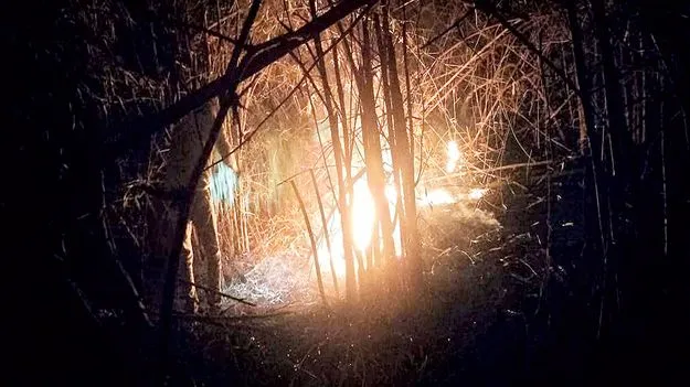 నల్లమలలో మంటలు