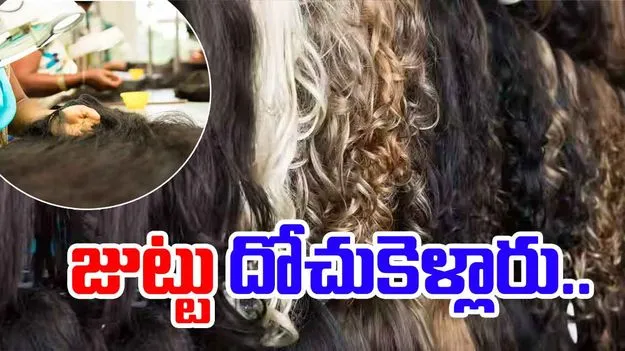 Hair Stolen: ఎవర్రా మీరంతా.. రూ. కోటి విలువైన జుట్టు దోచుకెళ్లారు..