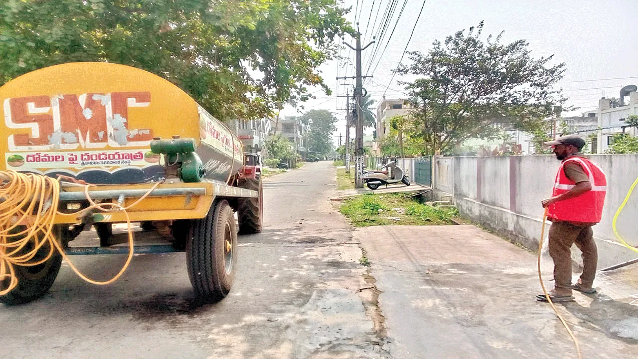 mosquitoes దోమల నివారణకు చర్యలు