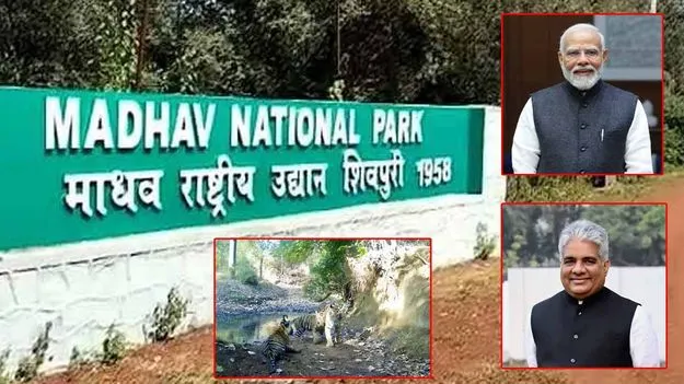 Madhav Tiger Reserve: భారత్ ఆ విషయంలో చాలా గొప్పది: ప్రధాని మోదీ..