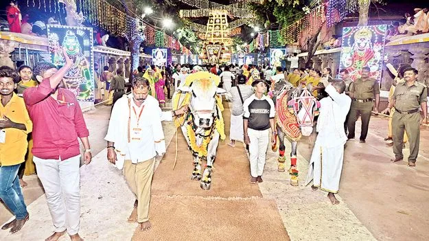 బ్రహ్మోత్సవాల్లో నంది రాజసం
