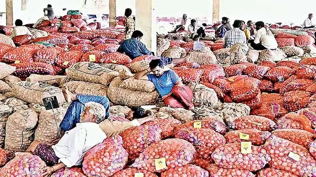 పాతాళానికి ఉల్లి ధర