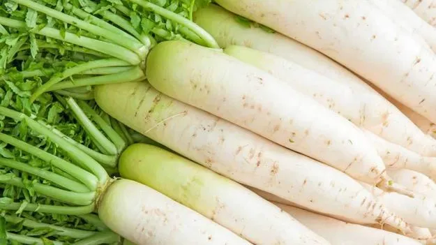 Radish: సమ్మర్ స్పెషల్.. ఈ కూరగాయతో మీ శరీరానికి అద్భుతమైన ప్రయోజనాలు