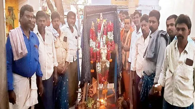 ప్రారంభమైన ఉత్సవాలు