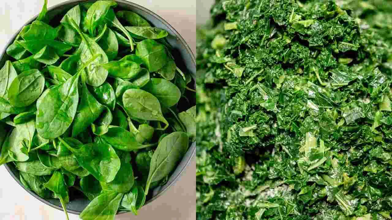 Health Tips : ఈ సమస్యలు ఉన్నవారికి పాలకూర ప్రాణాంతకం..