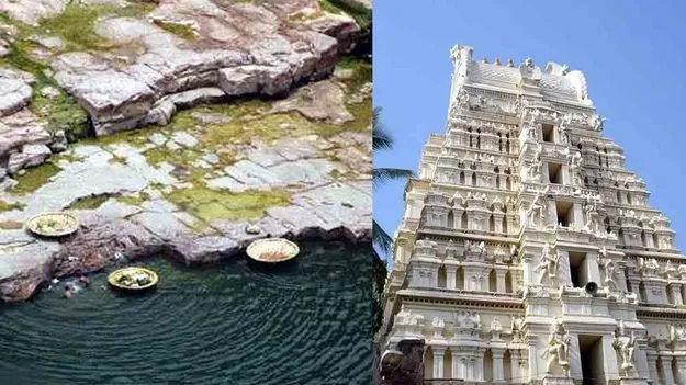 Srisailam Temple Tragedy: మహాశివరాత్రి వేళ విషాదం.. పుణ్యస్నానాలకు వెళ్లి..