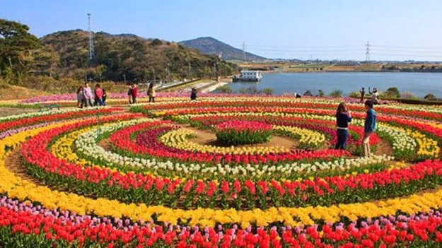 Srinagar Tulip Garden: తులిప్ గార్డెన్ ప్రారంభం, టికెట్ ధరల గురించి తెలుసుకోండి..