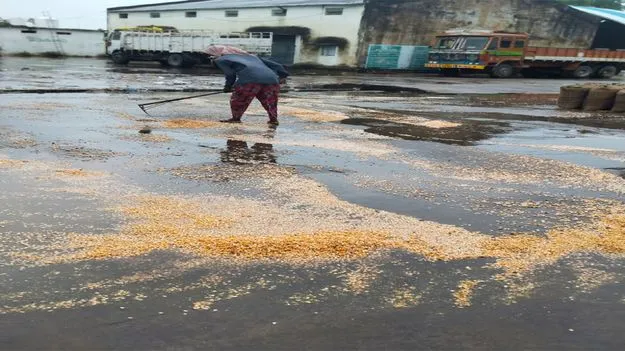 ద్రోణి ప్రభావంతో వర్షాలు 