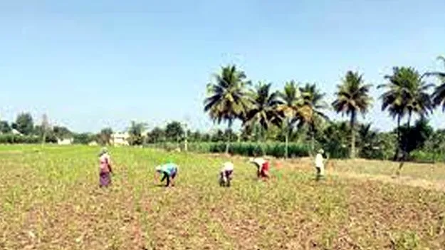 Dalit Industrial Association : కమీషన్లు ఇచ్చేవారికే  భూ కేటాయింపులు