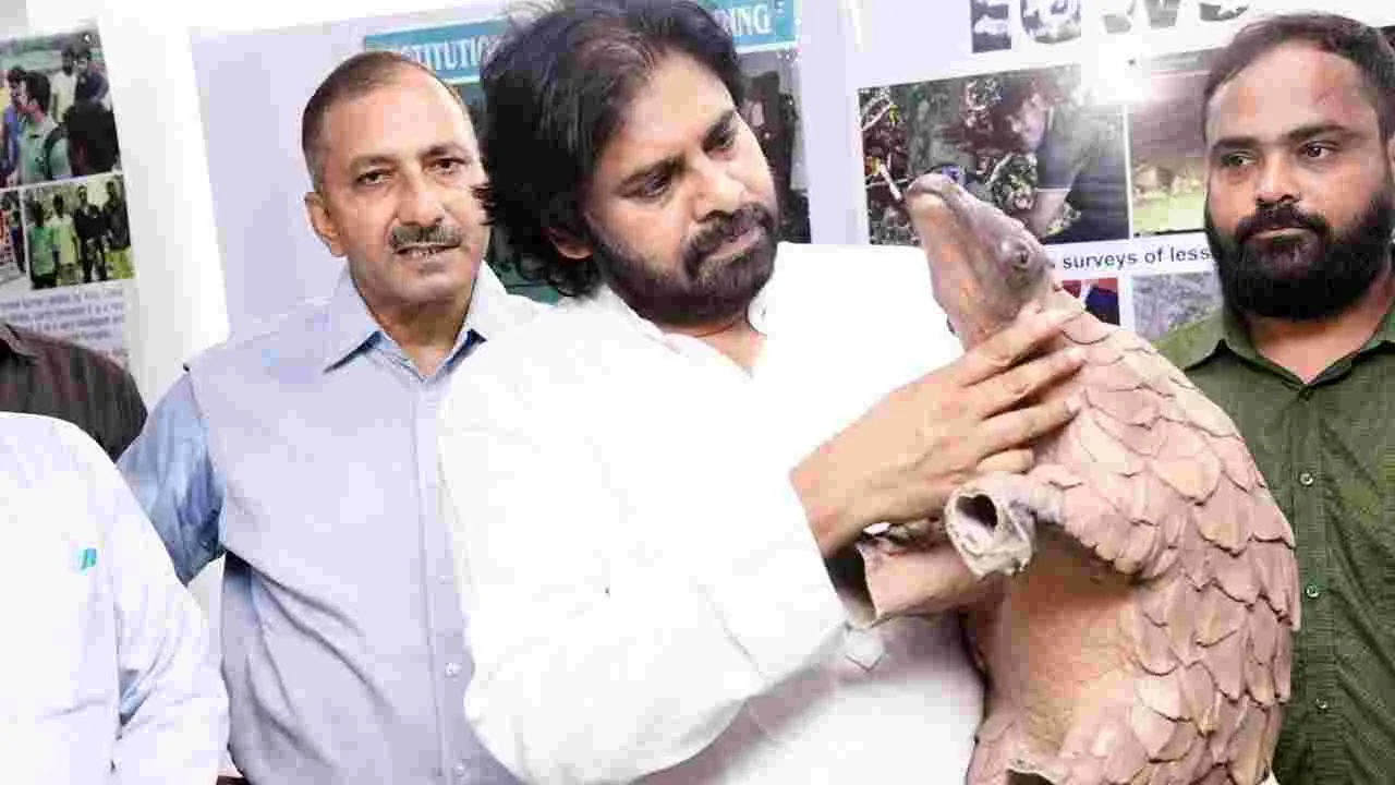 AP Deputy CM : క్షీరదాలను సంరక్షించుకోవాలి