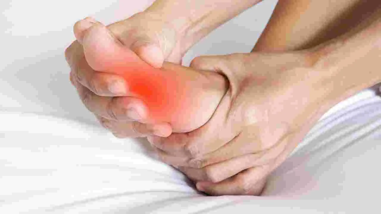 Uric Acid: ఈ పండు యూరిక్ యాసిడ్ కు శత్రువు.. కీళ్ల నొప్పులు కూడా క్షణంలో మాయమవుతాయి..