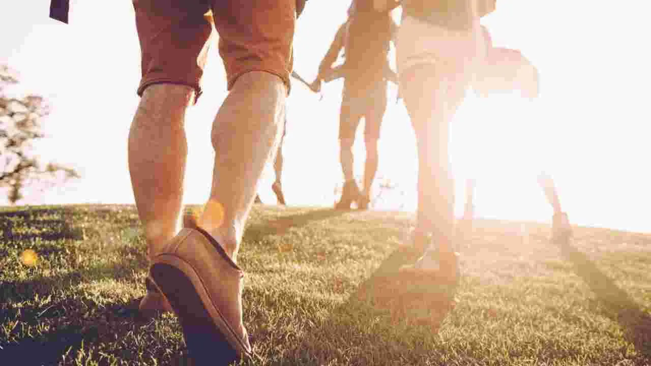 Walking Tips: నడవడానికి ముందు, తరువాత ఈ పనులు చేయకుంటే పొట్ట అంగుళం కూడా తగ్గదు..