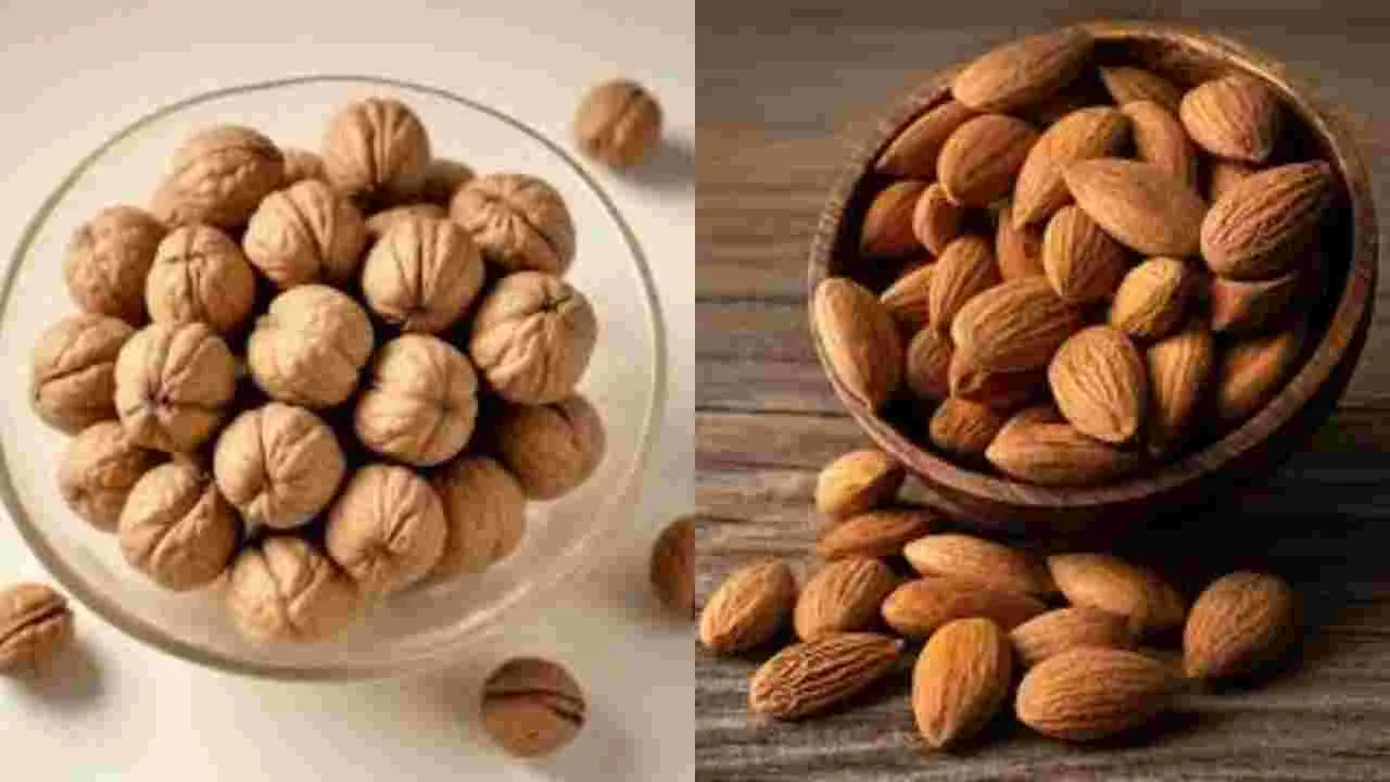 Walnuts vs Almonds: వాల్‌నట్స్ vs బాదం.. జ్ఞాపకశక్తిని పెంచడానికి ఏది మంచిది..