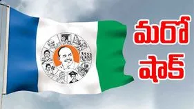 Police Action on YSRCP Activist: పవన్ కల్యాణ్‌పై వ్యాఖ్యలు.. వైసీపీ కార్యకర్తను అదుపులోకి తీసుకున్న పోలీసులు