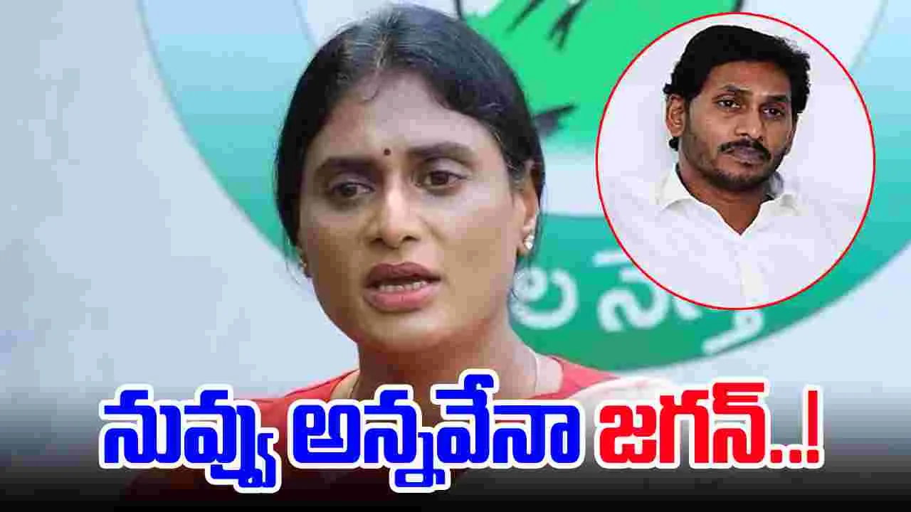 AP News: వైఎస్ షర్మిల సంచలన ప్రెస్ మీట్.. జగన్ గురించి నిర్ఘాంతపోయే విషయాలు వెల్లడి..