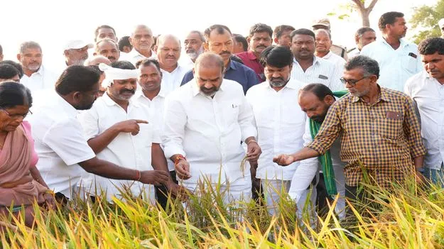 పంట నష్టపోయిన రైతులను ఆదుకుంటాం