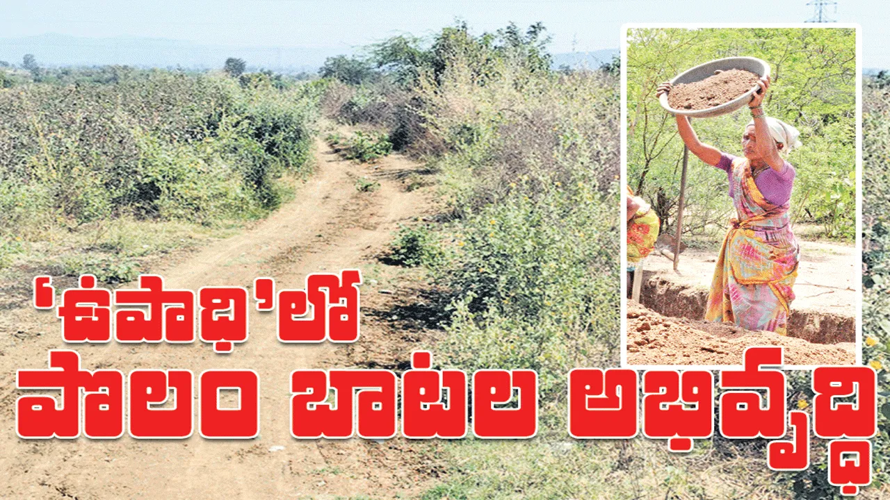 ‘ఉపాధి’లో పొలం బాటల అభివృద్ధి