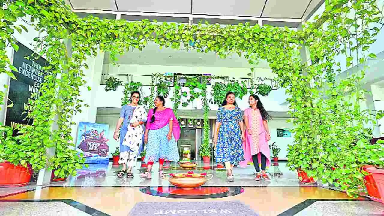 ఆఫీసులో అడుగడుగునా ఆక్సిజన్‌ మొక్కలే...