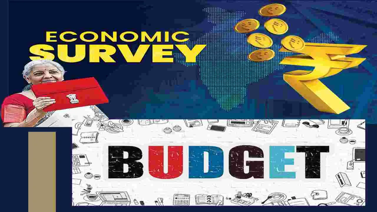 8th Budget : ఆర్థిక సర్వే అరణ్య రోదన