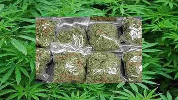 Hyderabad: రైళ్లలో గంజాయి మూటలు..