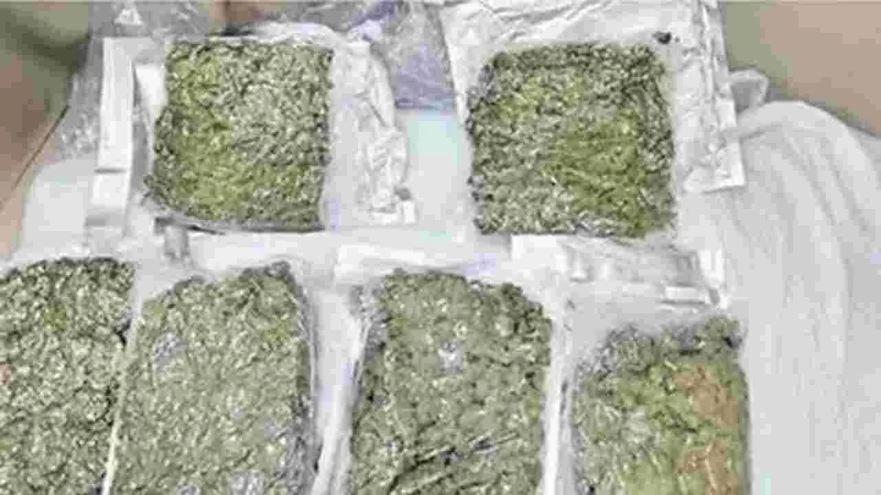 Hi-Tech Jail: హైటెక్ జైలులో గంజాయి కలకలం..