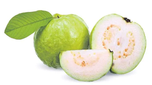 Guava: ఔషధాల నిధి... జామ 