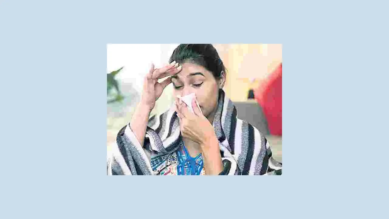 సిటీలో ఫ్లూ ఫీవర్స్