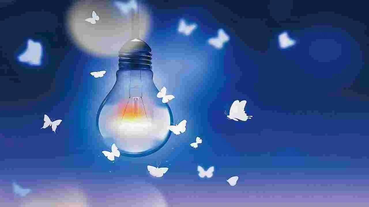Natural Remedies: లైటు పురుగులతో ఇబ్బందా..!