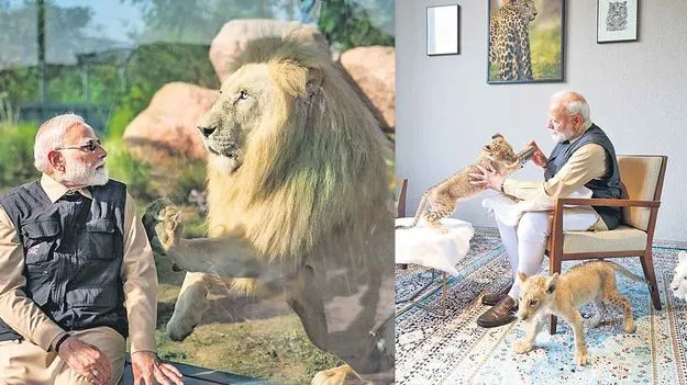PM Modi: సింహాలతో సయ్యాట!