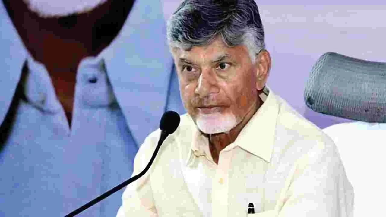 Chandrababu Naidu: నకిలీ విత్తనాలపై కఠినంగా ఉండండి