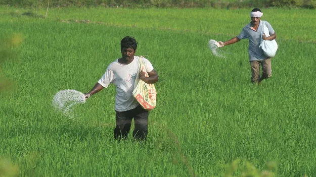 Horticulture: ఉద్యాన రైతులకు ప్రోత్సాహం