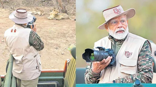 PM Modi: ఆసియా సింహాలు పెరిగాయ్‌