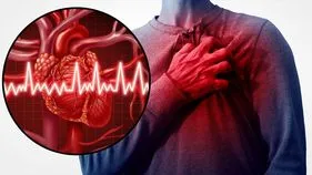 Heart Diseases : ఈ లక్షణాలు మీలో ఉన్నాయా.. గుండె ధమనులు మూసుకుపోతే ఏమవుతుంది..