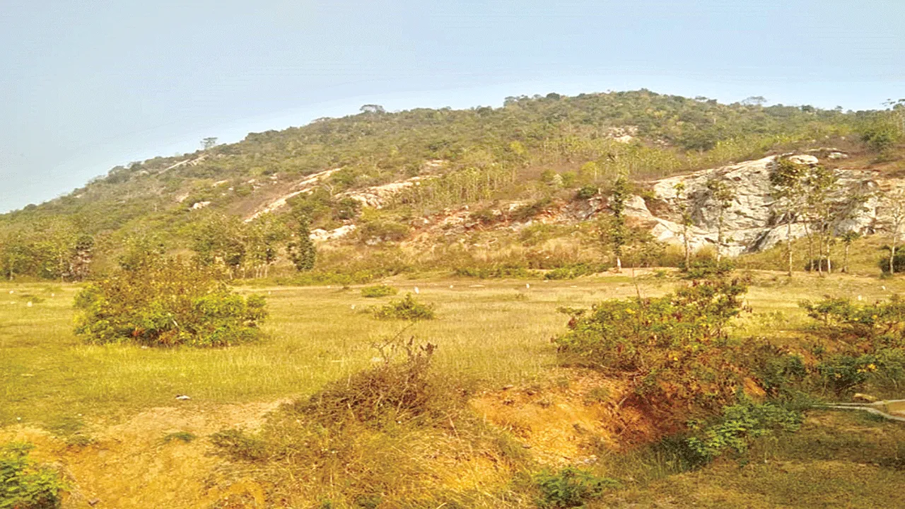 But Not the Land! పట్టా ఇచ్చారు.. స్థలం ఇవ్వలే!