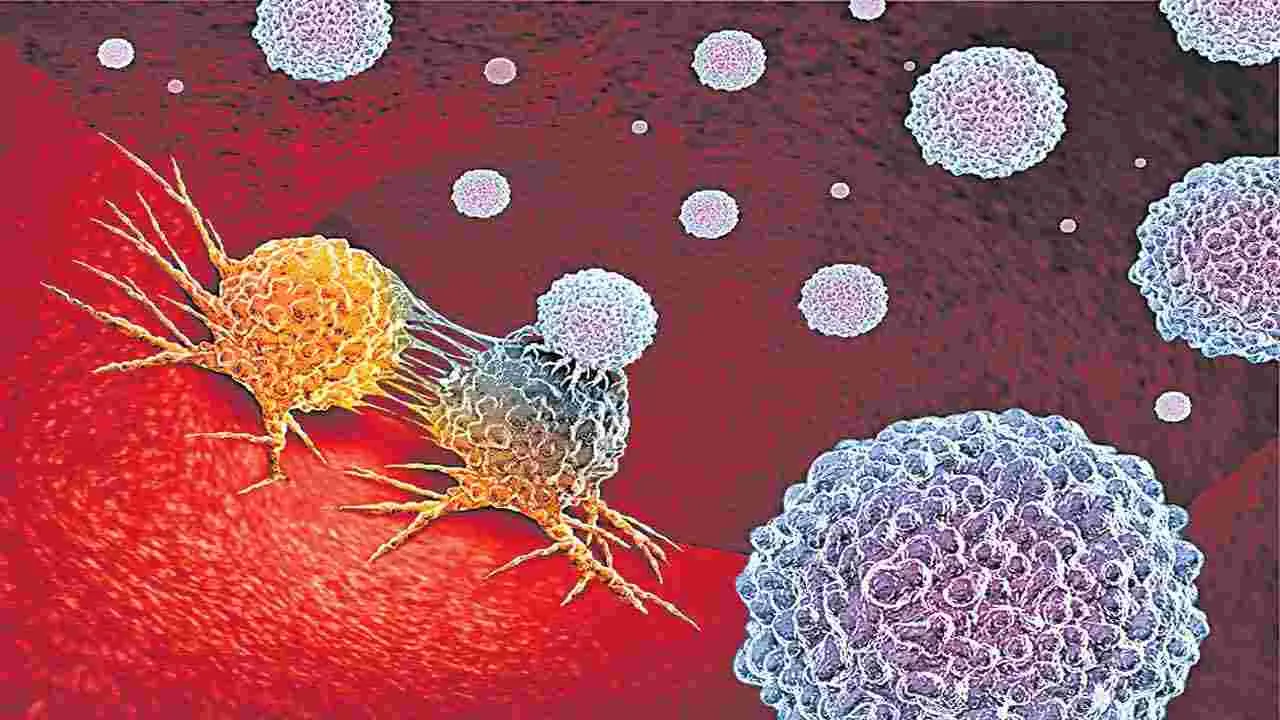 Cancer Research: ఆ ఎంజైమ్ను అడ్డుకుంటే క్యాన్సర్కు చెక్!