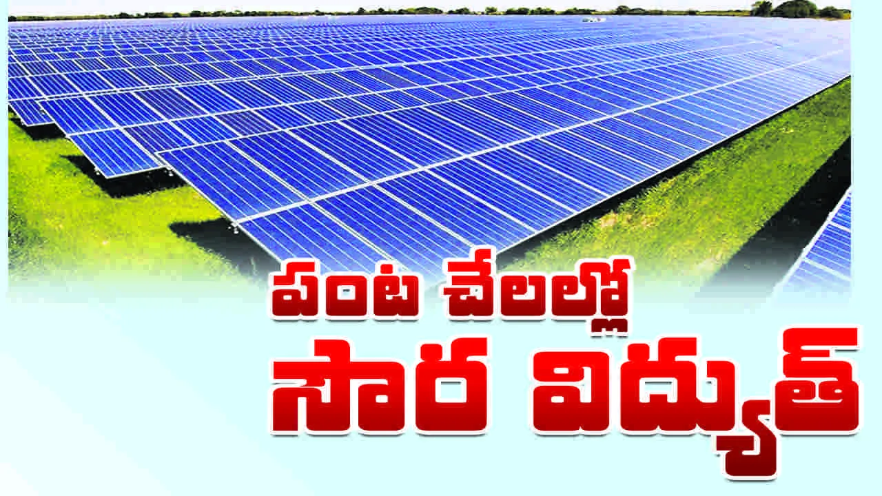 పంట చేలల్లో సౌర విద్యుత్