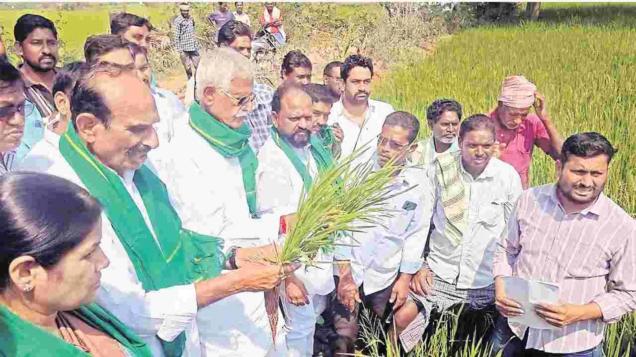 రైతుల సంక్షేమమే ప్రభుత్వ ధ్యేయం