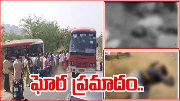 Kurnool Road Accident: దూసుకొచ్చిన ఆర్టీసీ బస్సు.. స్పాట్ డెత్.. ఎంతమందంటే