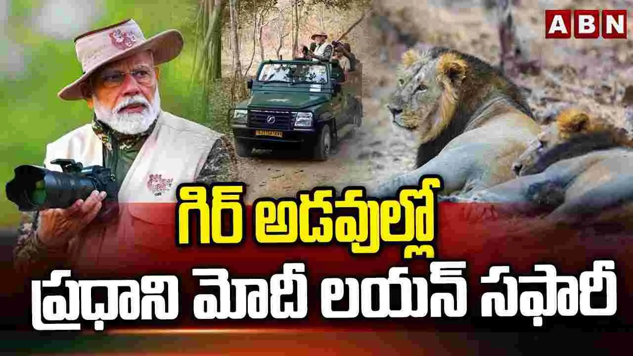 PM Modi Safari : ఎదురొచ్చిన లయన్స్‌ను కెమెరాలో బంధించిన పీఎం మోదీ ...