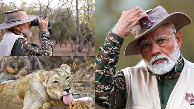 PM Modi Safari : చేతిలో కెమెరా.. ముందు సింహం.. ప్రధాని మోదీ సఫారీ..
