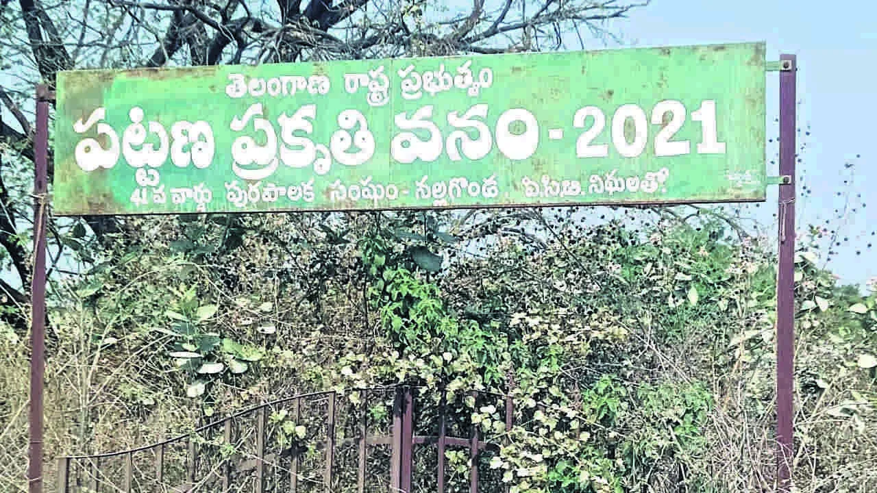 ఎండిపోతున్న మొక్కలు